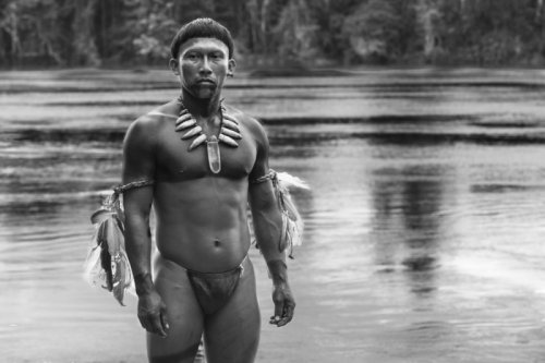 Image from Embrace Of The Serpent