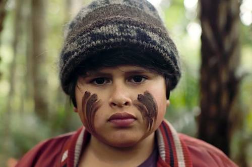 Image from Hunt for the Wilderpeople