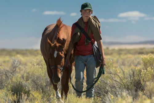 Image from Lean On Pete