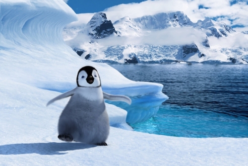 Read more about Happy Feet