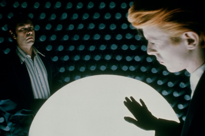 The Man Who Fell To Earth