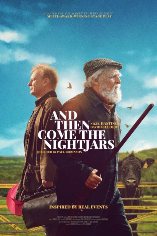 Poster for And Then Come The Nightjars