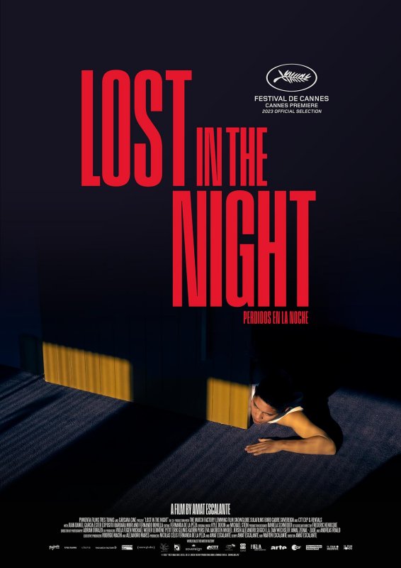 Poster for Lost In The Night