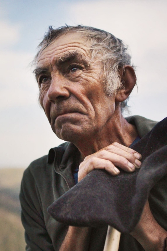 Poster for The Shepherd And The Bear